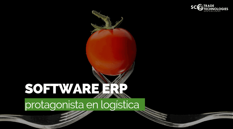 Los Software ERP ganan protagonismo en logística