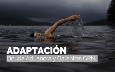 Cómo abordar con éxito la Deuda Aduanera y Gtía GRN