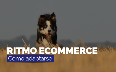 Tips para adaptarse al ritmo del ecommerce
